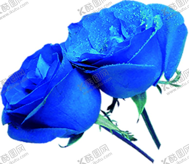 编号：18845006291101258487【酷图网】源文件下载-浪漫素材