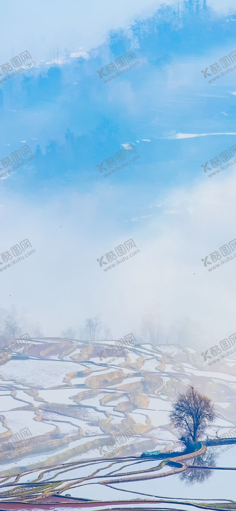 编号：97374605161633379395【酷图网】源文件下载-手机壁纸