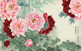 牡丹花花开富贵图片