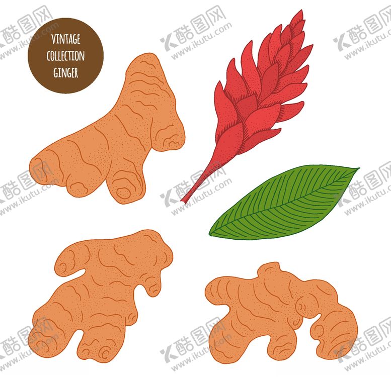 编号：89915506301959386681【酷图网】源文件下载-植物线稿