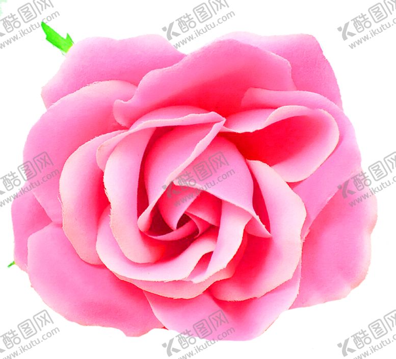 编号：50843106250215152645【酷图网】源文件下载-花素材
