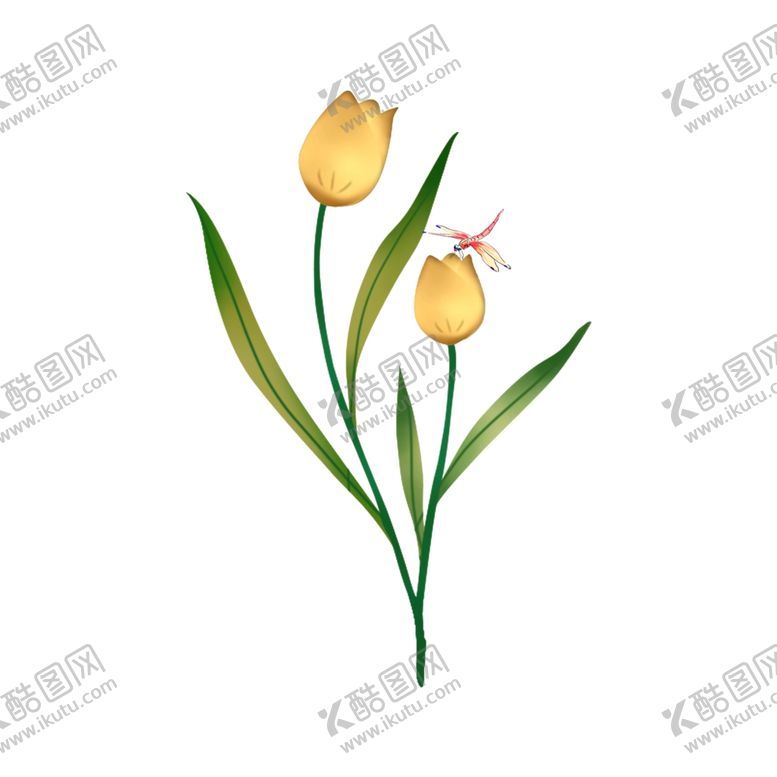 编号：49516409262051072892【酷图网】源文件下载-郁金香插画