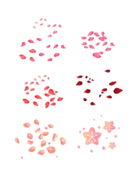 玫瑰花朵花蕊花瓣