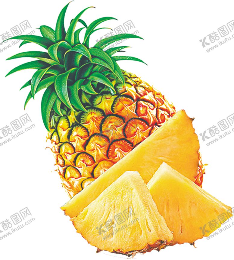 编号：83910207030547361440【酷图网】源文件下载-菠萝