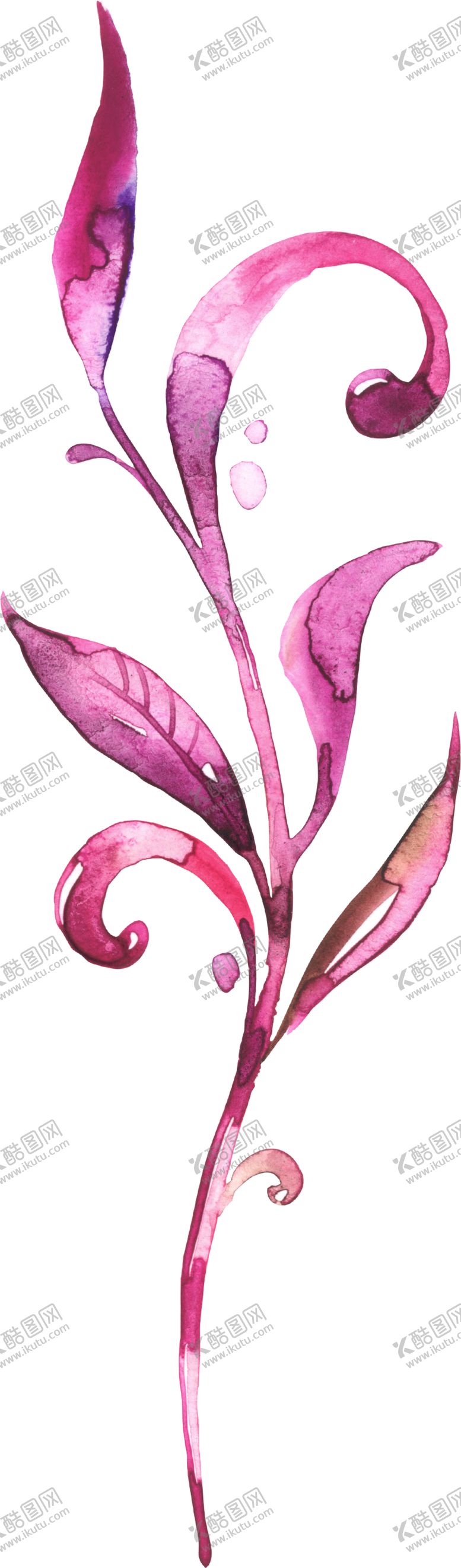 编号：54195205190634461875【酷图网】源文件下载-水彩手绘花卉花朵植物