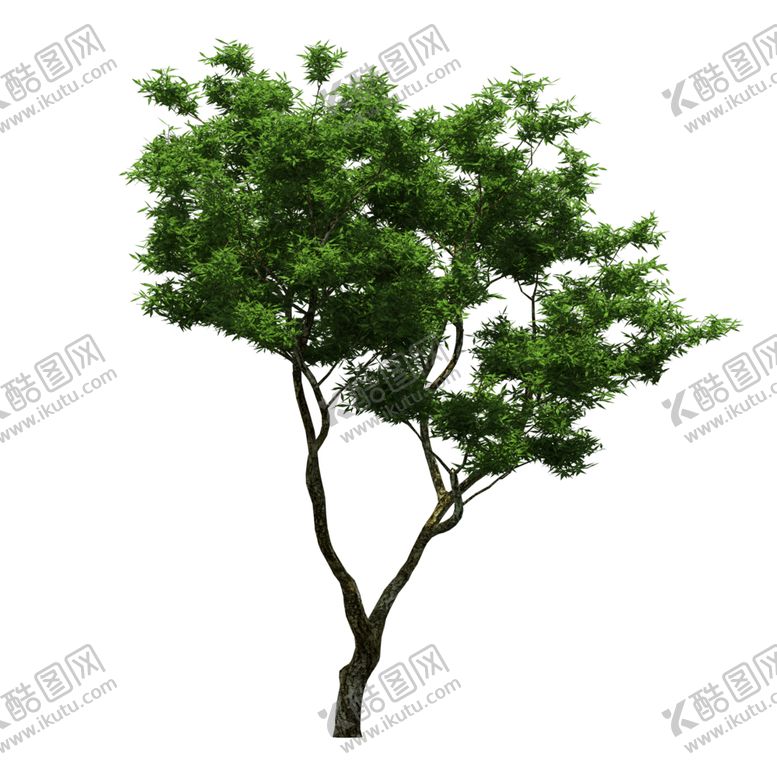 编号：66525609250108434235【酷图网】源文件下载-景观树