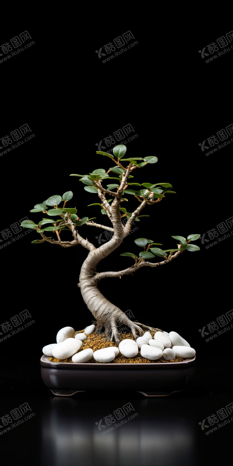 编号：11766301270950404852【酷图网】源文件下载-盆栽素材