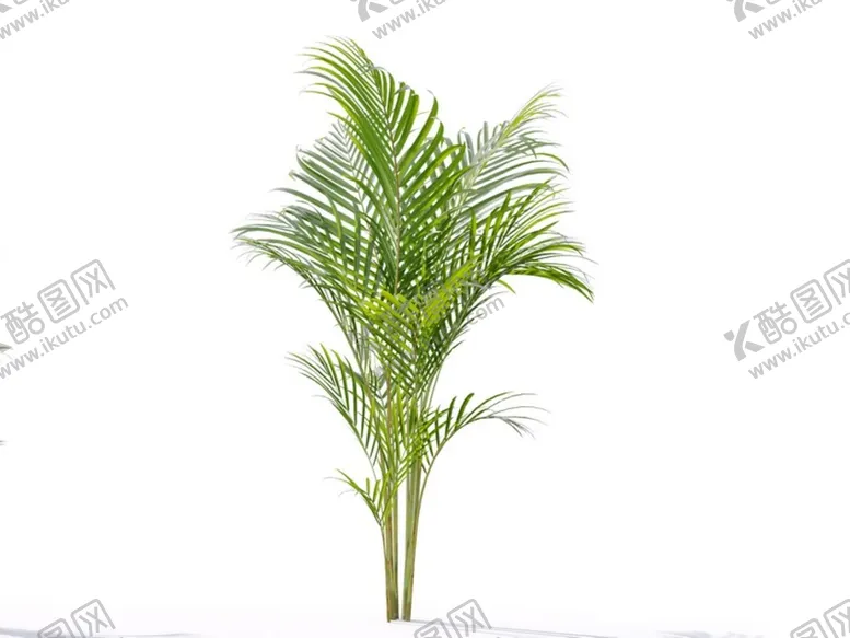编号：90798410312331548874【酷图网】源文件下载-C4D模型 植物树木黄芪草