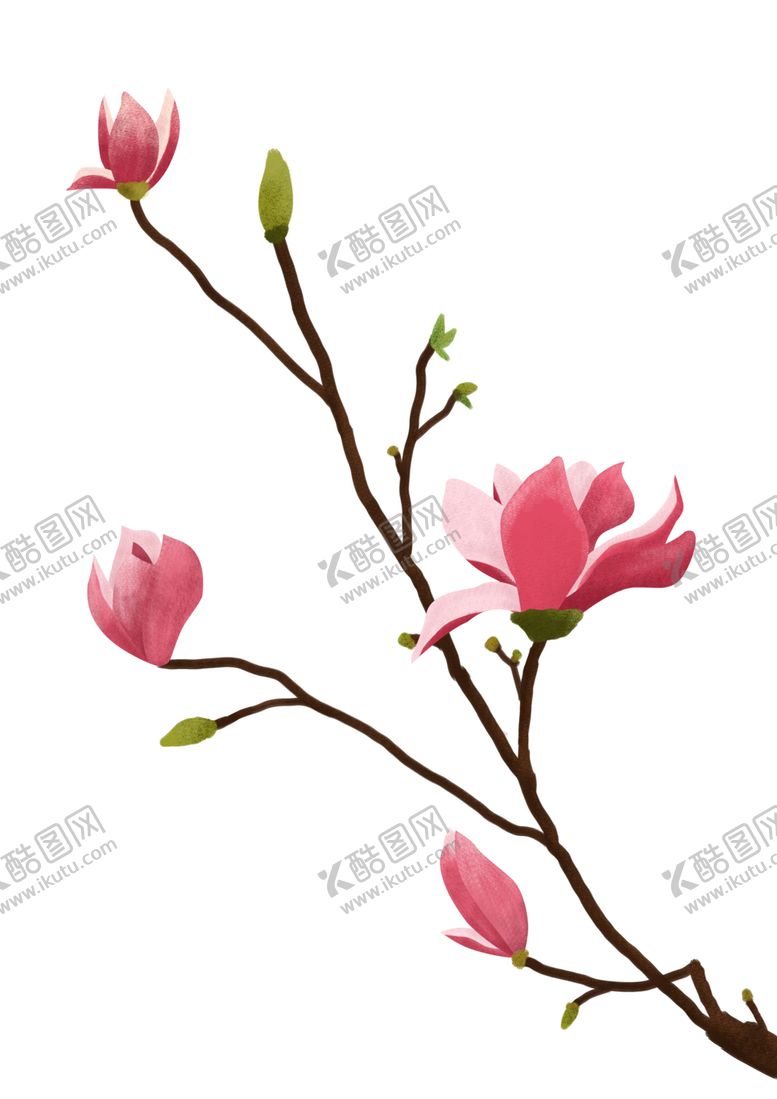 编号：91977202120517242478【酷图网】源文件下载-春天粉红色小清新玉兰花