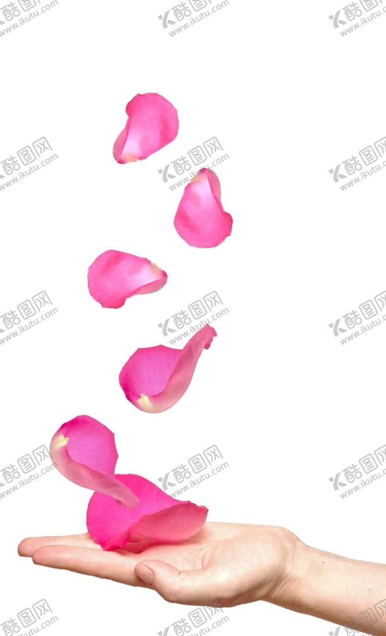 编号：75838302030218401062【酷图网】源文件下载-桃花