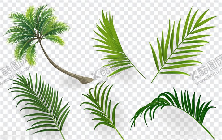 编号：64668209250426574255【酷图网】源文件下载-树叶素材