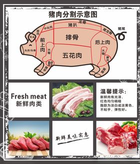 猪肉分割图