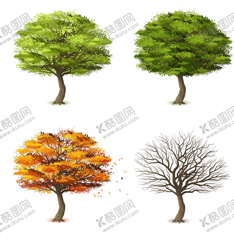 编号：81189909201238264406【酷图网】源文件下载-树矢量图