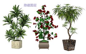 植物盆栽psd矢量图