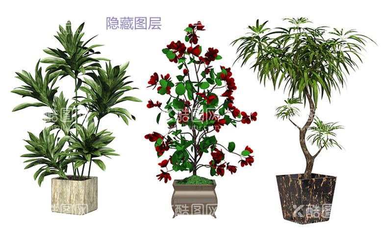 编号：08156209251359587056【酷图网】源文件下载-3D盆栽植物