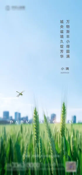 小满海报蓝天麦穗二十四节气