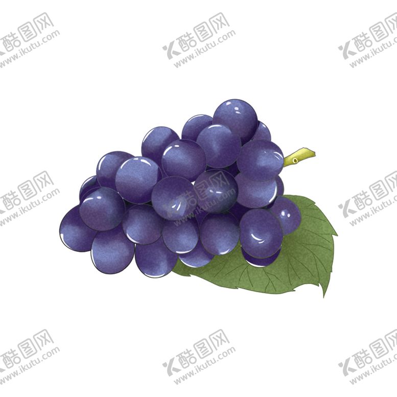 编号：68179601240217025493【酷图网】源文件下载-手绘可爱卡通写实水果图葡萄图片