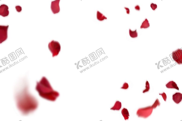 编号：58727410261630411725【酷图网】源文件下载-玫瑰花