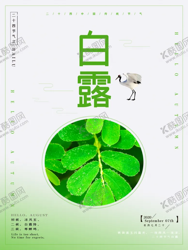 编号：68026706281643314601【酷图网】源文件下载-白露海报