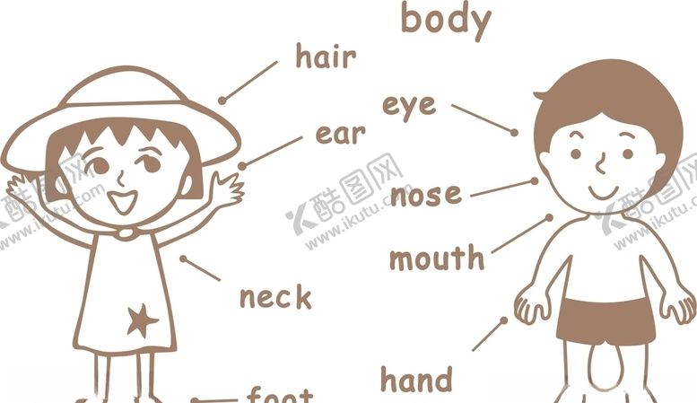 编号：44502610202043114635【酷图网】源文件下载-身体部位对应英文