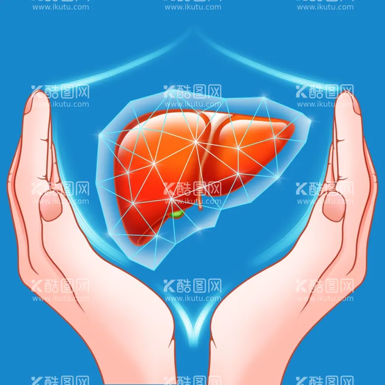 编号：37671402041905083817【酷图网】源文件下载-保护肝卡通素材