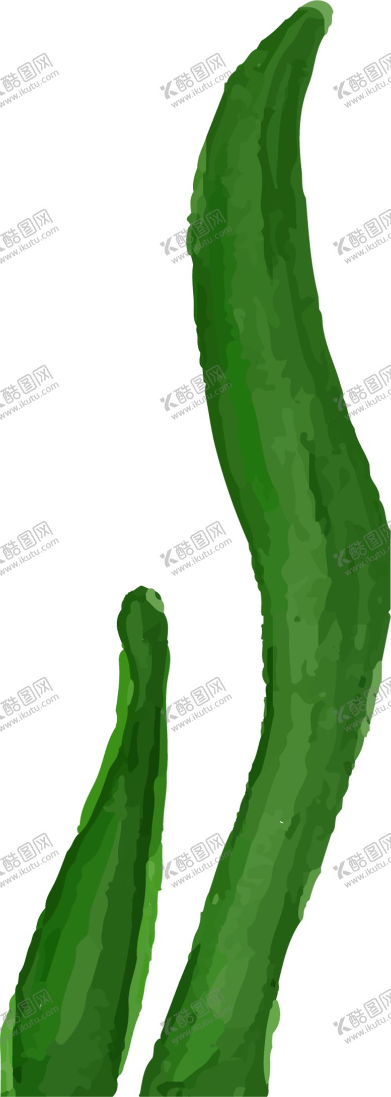编号：24503207131223248058【酷图网】源文件下载-绿色植物