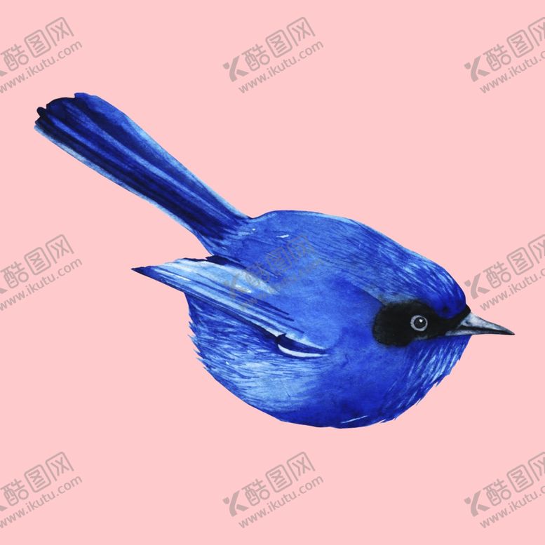 编号：41244907132221369361【酷图网】源文件下载-水彩植物