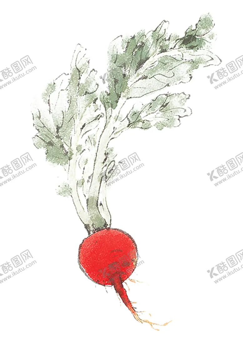 编号：28681606301452389419【酷图网】源文件下载-绿色装饰