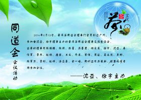 茶文化绿色背景