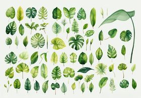 清新手绘绿色植物集合