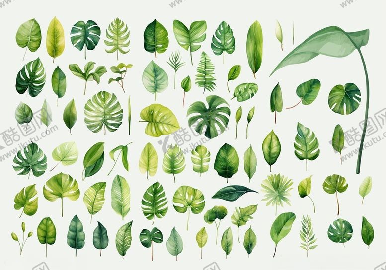 编号：47726411150124461278【酷图网】源文件下载-清新手绘绿色植物集合