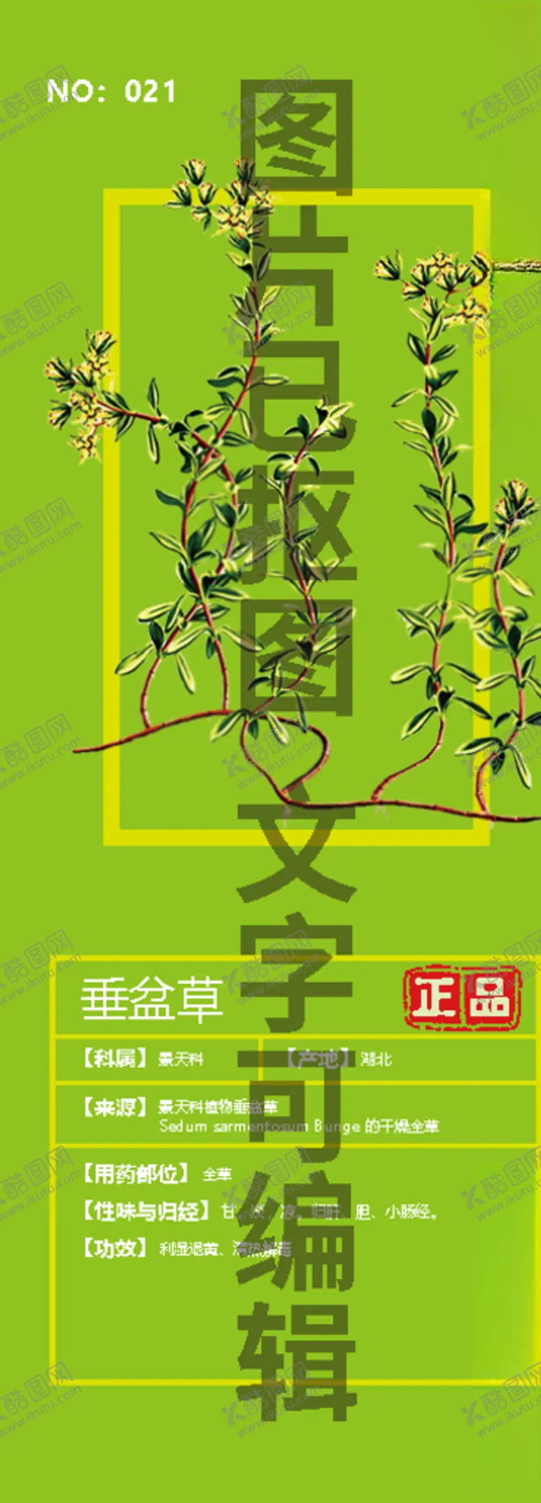 编号：62553906242143468378【酷图网】源文件下载-垂盆草