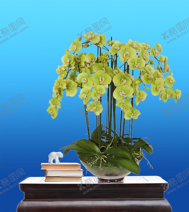 编号：49858810062259145962【酷图网】源文件下载-花艺