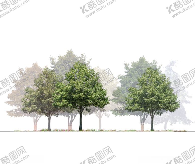 编号：74286506240024163474【酷图网】源文件下载-剖面植物
