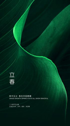 节气立春发芽立春质感立春