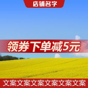 电商淘宝拼多多直通车红色主图主图