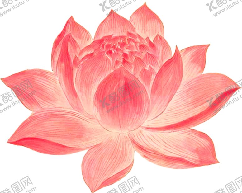 编号：51718005071436313452【酷图网】源文件下载-莲花复古古风海报素材