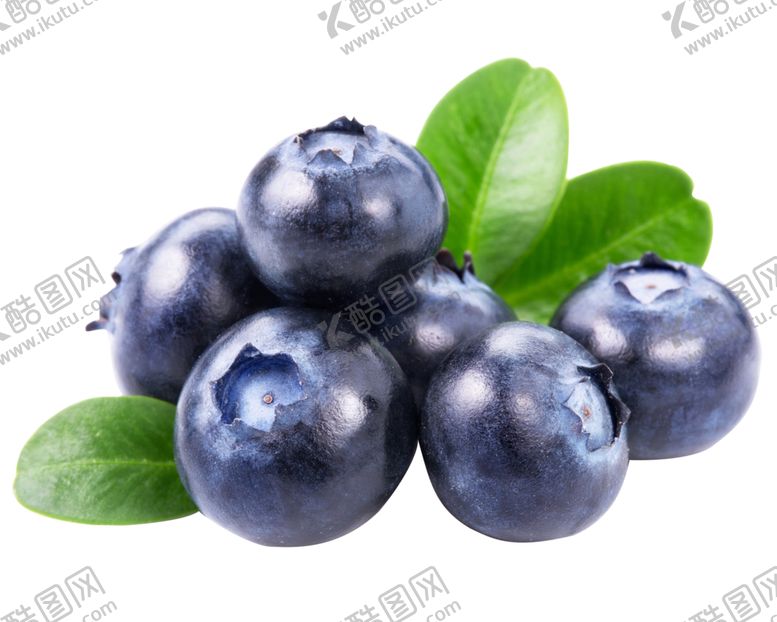 编号：35628510290209557671【酷图网】源文件下载-水果