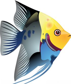 深海鱼
