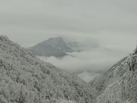 白雪雪花素材