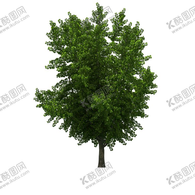 编号：40964609240902212383【酷图网】源文件下载-景观树