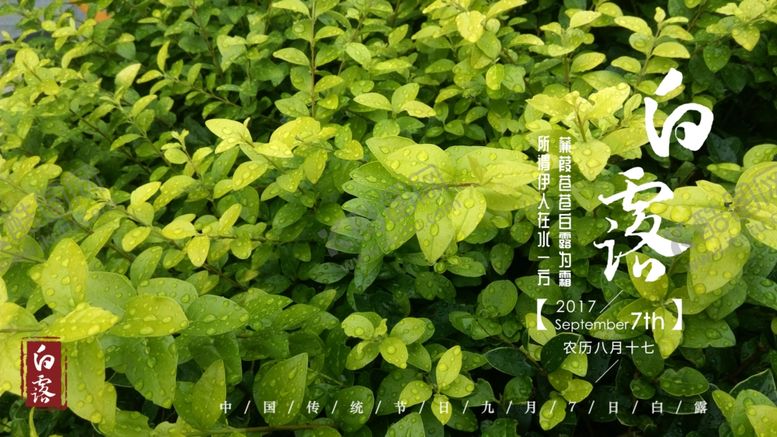 编号：57143910182114093649【酷图网】源文件下载-白露节气