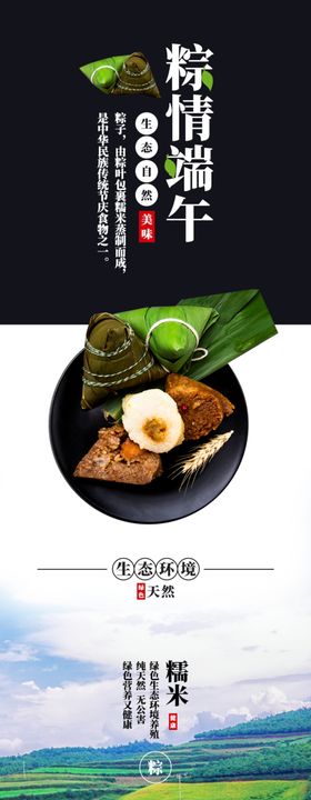 端午节粽子详情