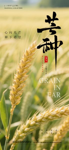 地产芒种海报小麦麦穗二十四节气