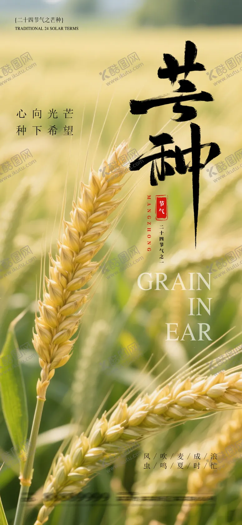编号：95526306151743482312【酷图网】源文件下载-地产芒种海报