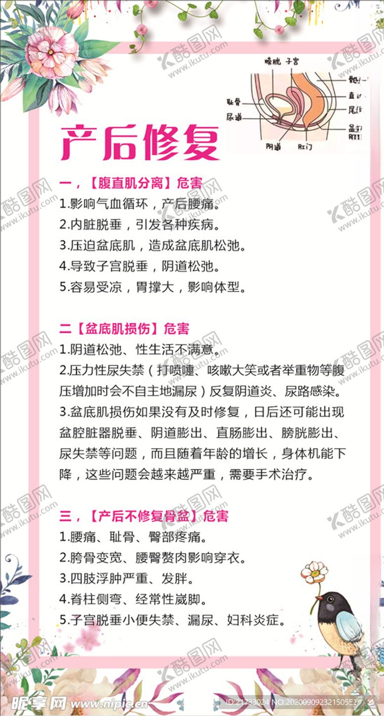 编号：12420306281615252801【酷图网】源文件下载-产后修复海报