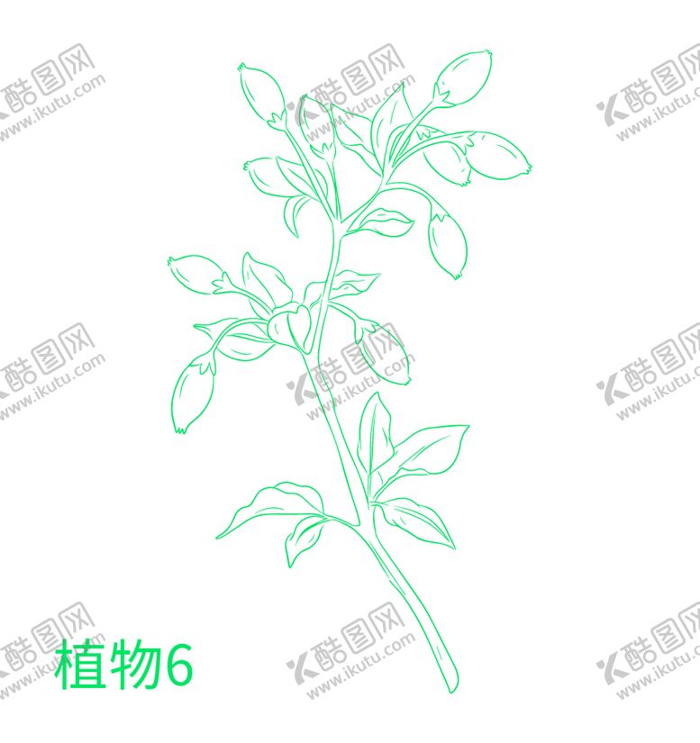 编号：21768909211013105027【酷图网】源文件下载-植物 草本 矢量图 中药
