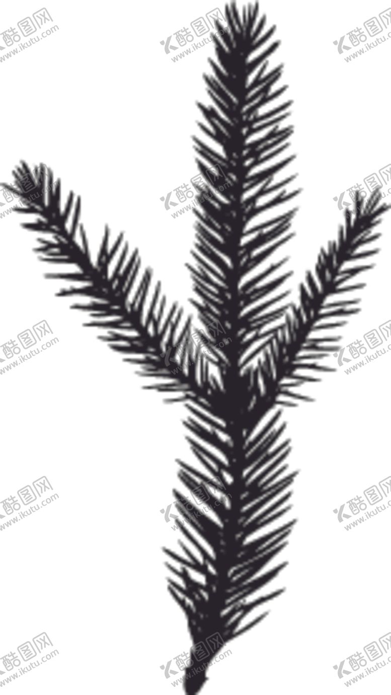编号：42040107140836115516【酷图网】源文件下载-植物系列树叶