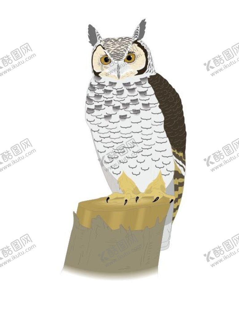 编号：04673909141758076079【酷图网】源文件下载-猫头鹰