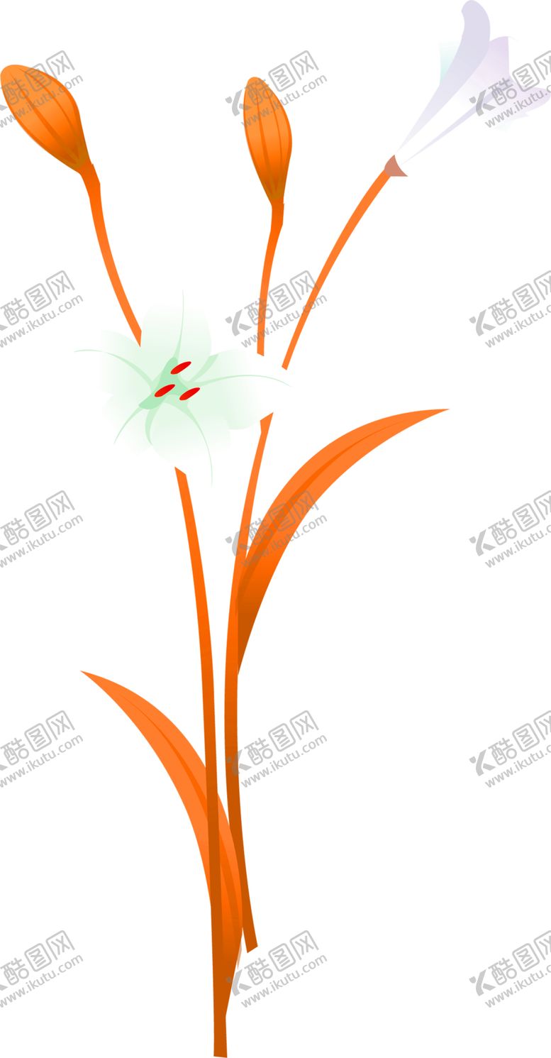 编号：20511809200209012890【酷图网】源文件下载-鲜花素材